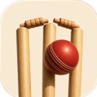 Wicket icon